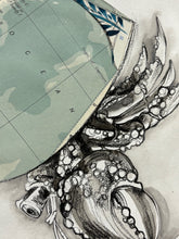 Load image into Gallery viewer, Lord Howel Took a Crab to Brisbane.
