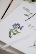 Load image into Gallery viewer, BOTANICAL ART ATELIER - BATHURST ART FAIR

